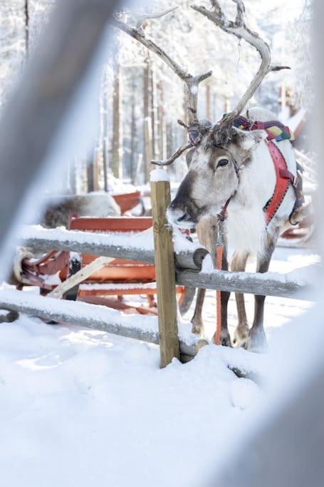 Arctic Circle Home Close To Santa'S Village Rovaniemi Exterior foto