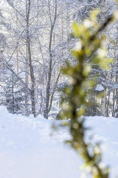 Arctic Circle Home Close To Santa'S Village Rovaniemi Exterior foto