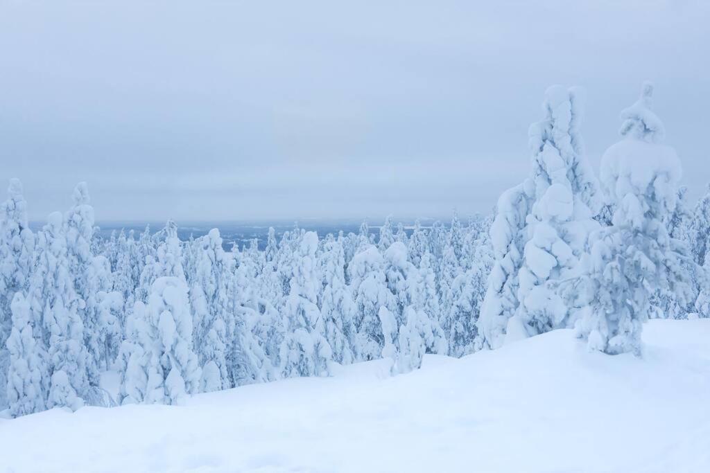 Arctic Circle Home Close To Santa'S Village Rovaniemi Exterior foto