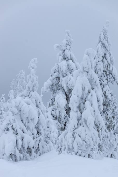 Arctic Circle Home Close To Santa'S Village Rovaniemi Exterior foto