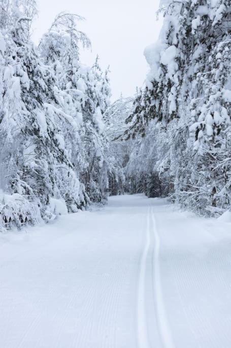 Arctic Circle Home Close To Santa'S Village Rovaniemi Exterior foto